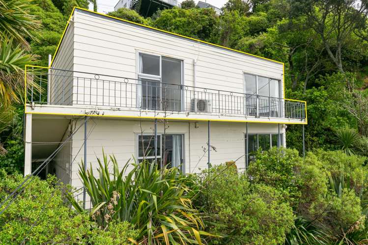 110c Grafton Road Roseneath_10