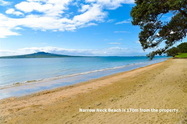 169 Vauxhall Road Narrow Neck_19