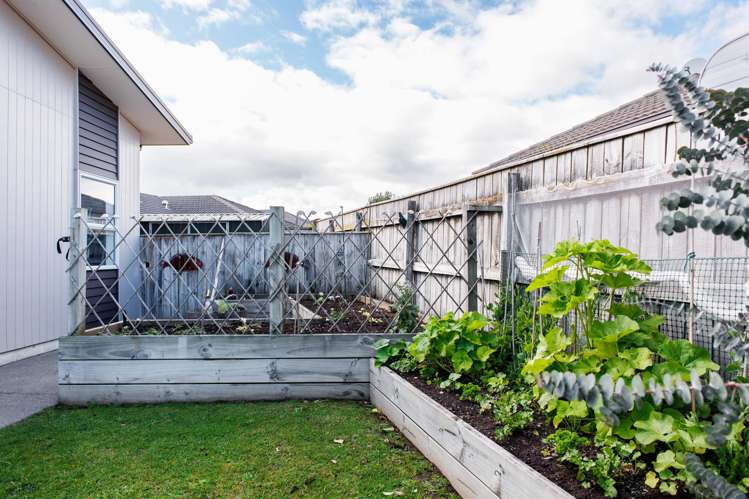 52 Waterways Drive Ohope_17