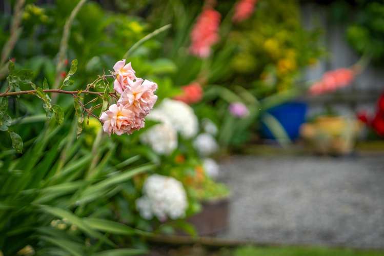 4 McDougall Place Kaiapoi_25