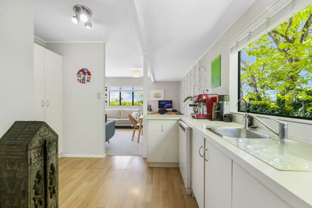 437a Point Chevalier Road Point Chevalier_3