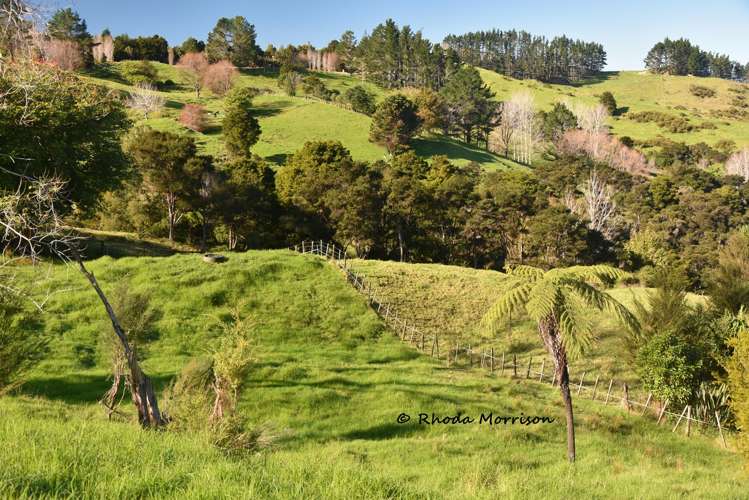 330 Franklin Road Paparoa_73