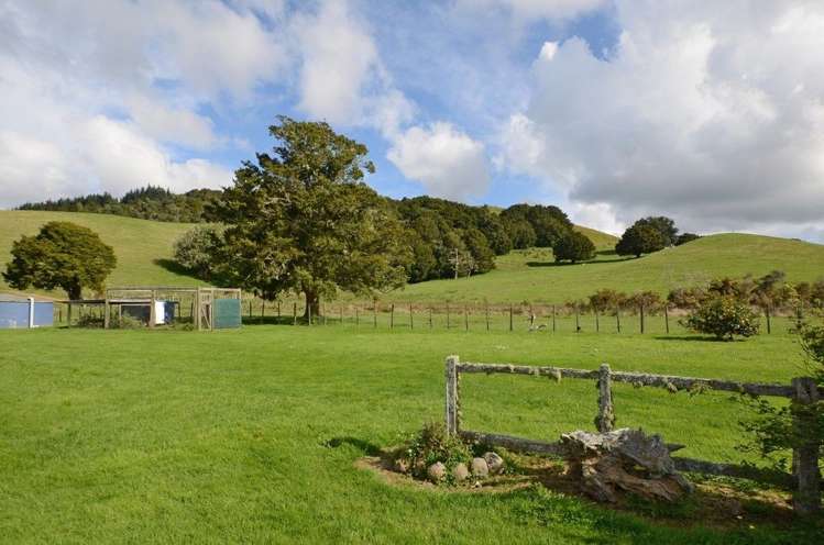 226 Harris Road Glenbervie_13