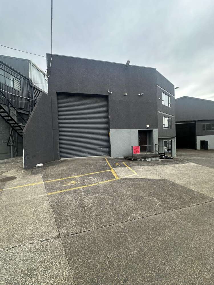 589 Rosebank Road Avondale_4