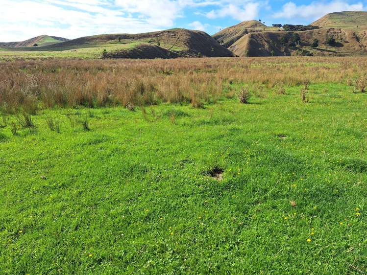 Mangaone Road Pongaroa_18