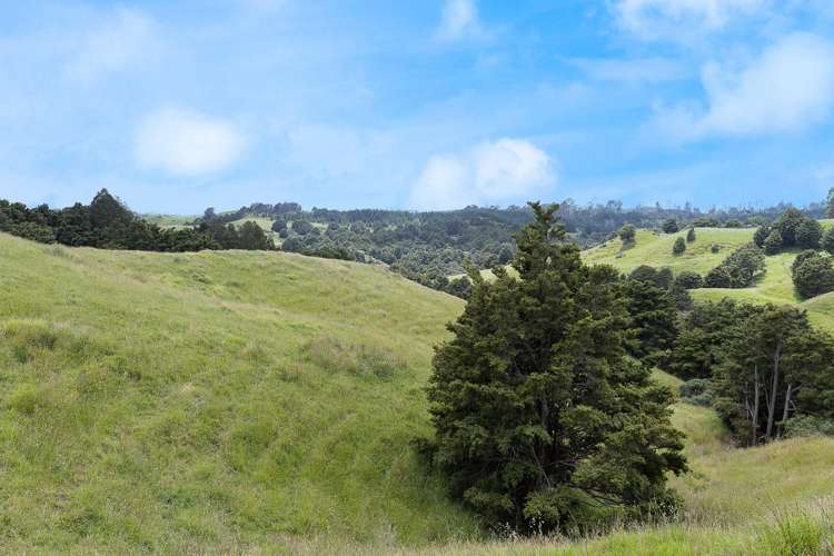 Lot 2/347 Porter Road Paparoa_21