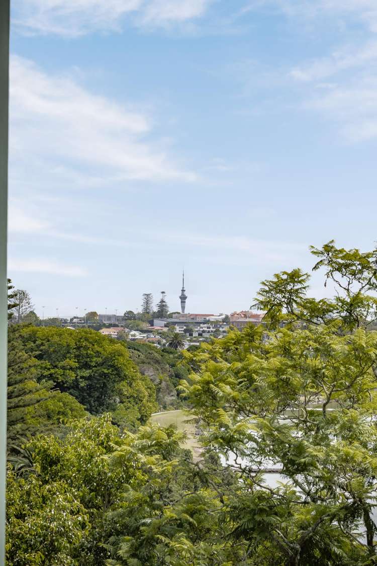 24 Darwin Lane Remuera_13