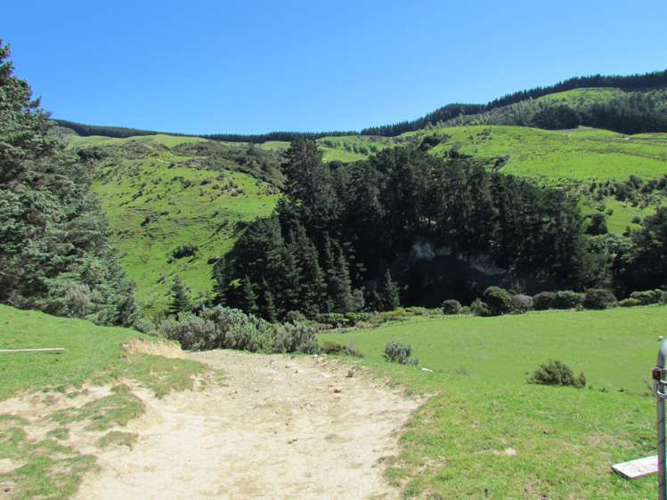 139 Clay Creek Road Ruakokoputuna_13