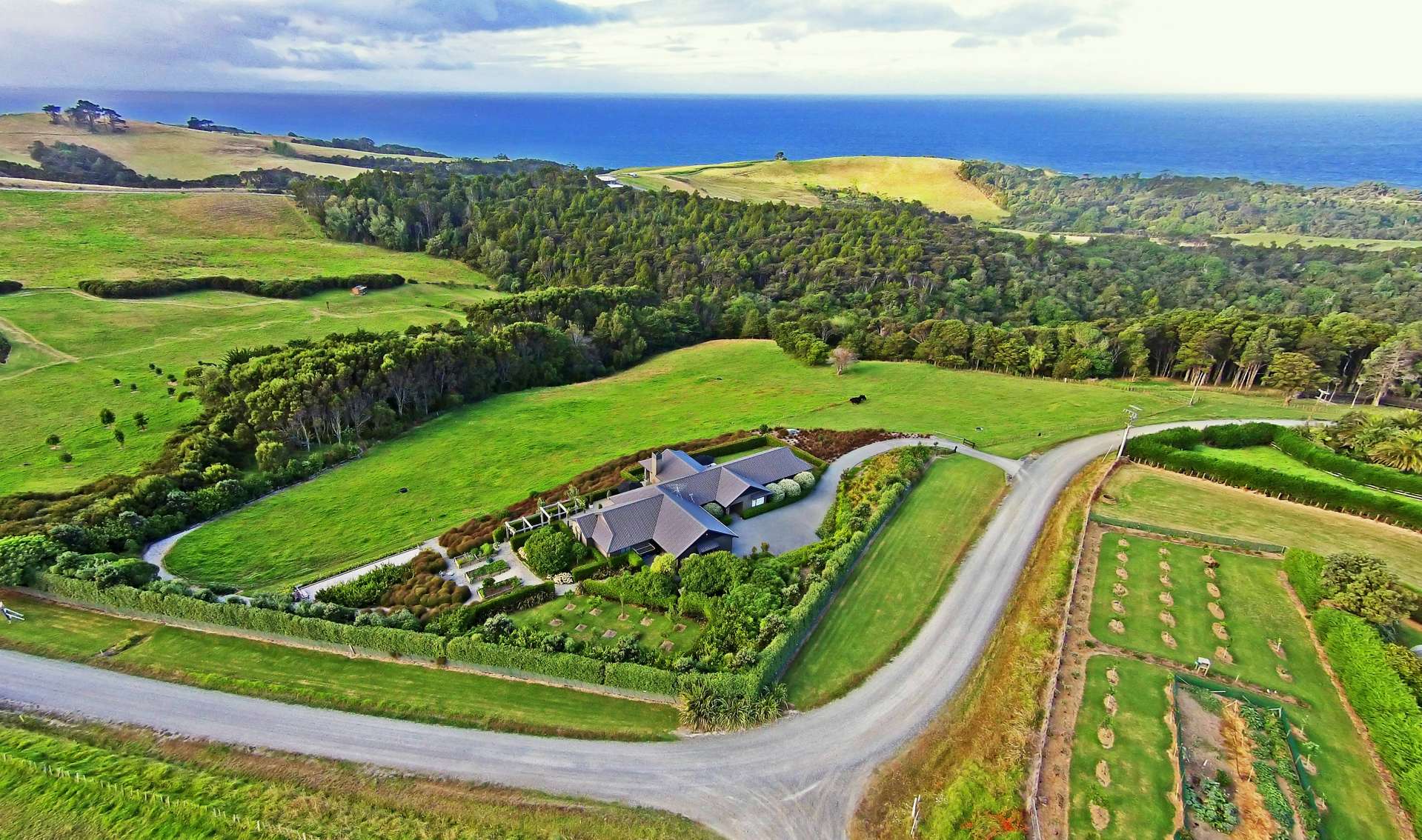 167 Cape Rodney Road Leigh_0