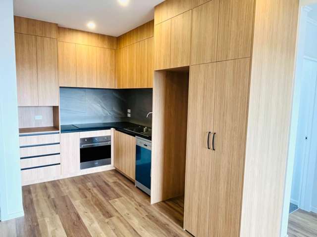 Brand new modern 2 bedroom home