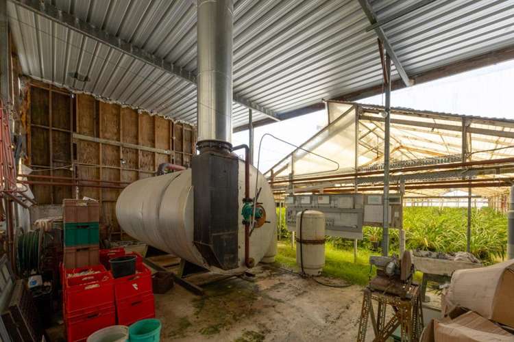 123 Jesmond Road Drury_21