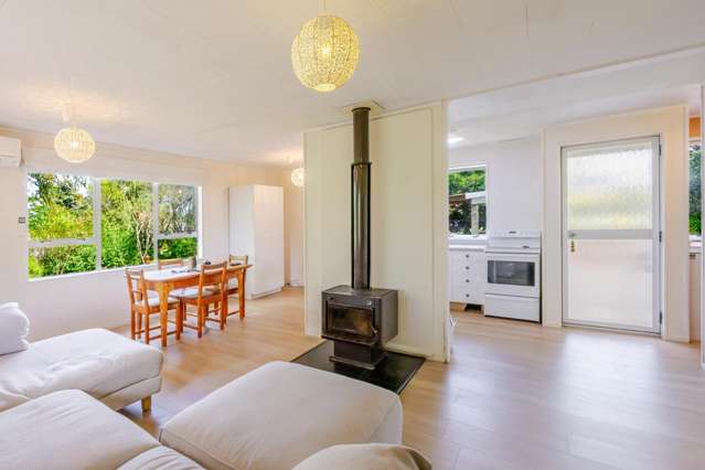 37 Ellison Street Otane_2