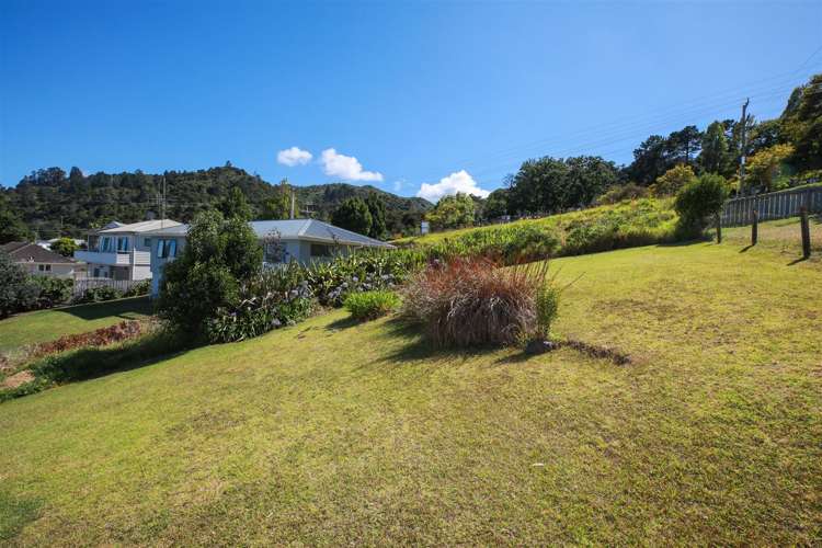 814 Mount Pleasant Road Thames_1