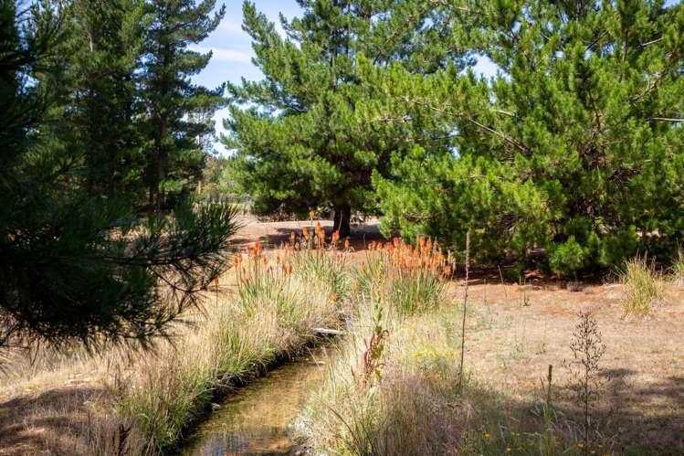 120 Hillview Road Alexandra_36