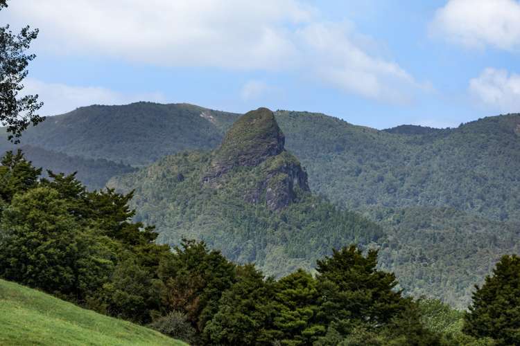 78 Wires Road Hikutaia_29