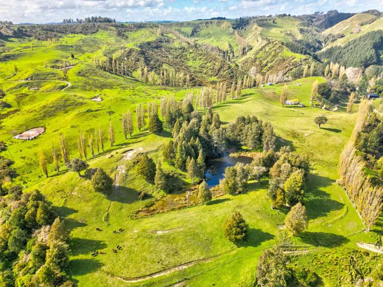 665 Longacre Road Okoia_22