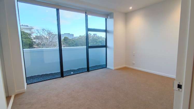 118/223a Green Lane West Auckland_11