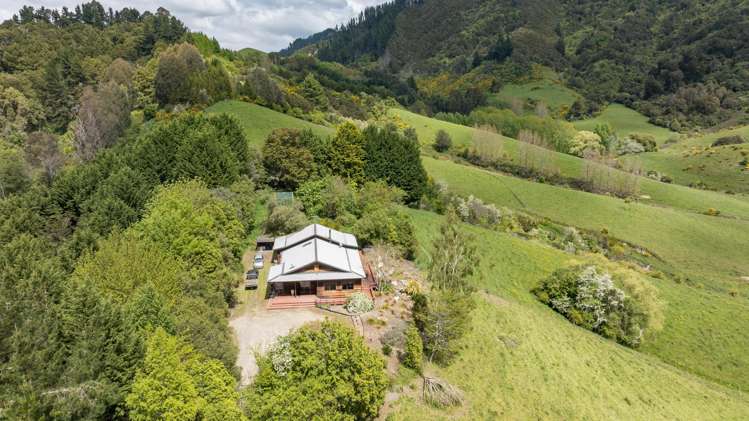 98 Thorpe-Orinoco Road Ngatimoti_9