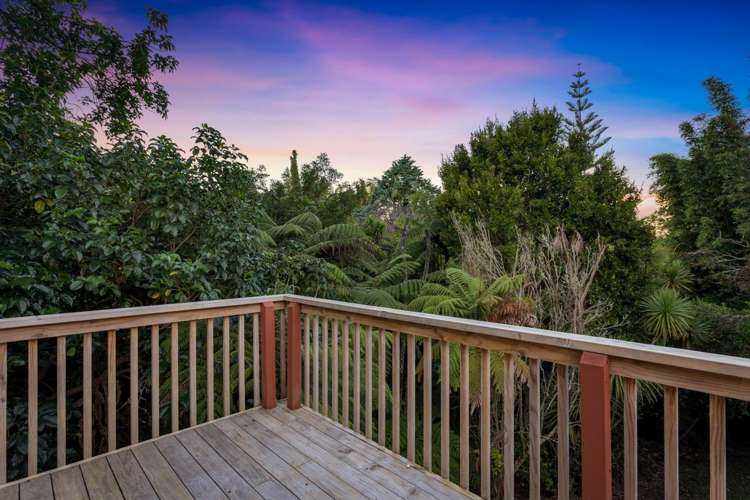 41A Cyclarama Crescent Massey_5