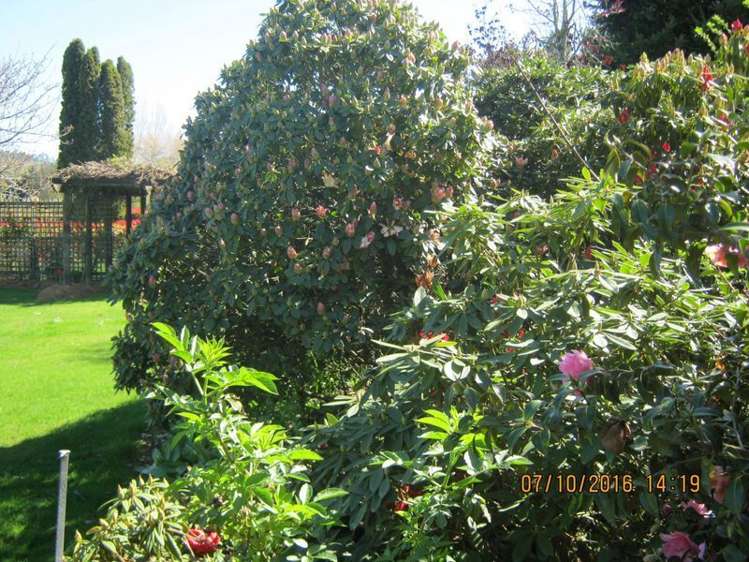 127 Main North Road Geraldine_9