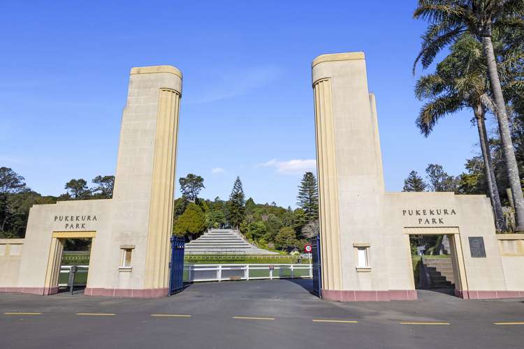 55a Brooklands Road Brooklands_5