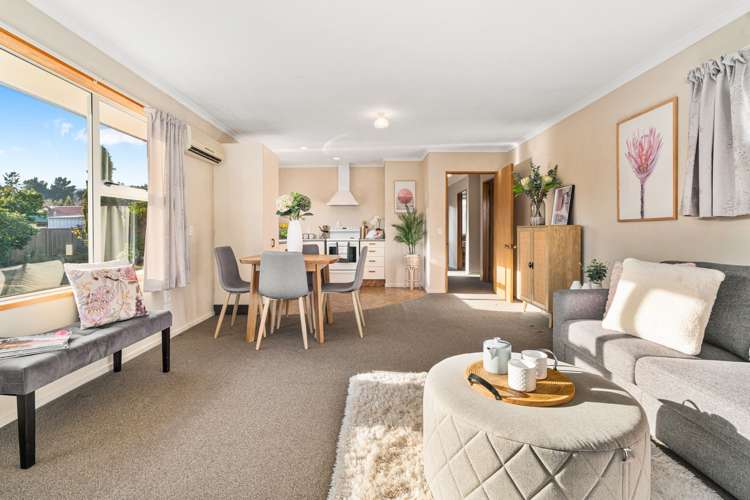 59b Horace Street Cromwell_5