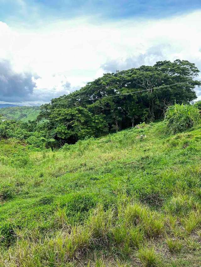 Lot 6 Navagigi Heights Savusavu_1