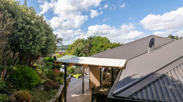 9 Tidd Drive Raglan_2