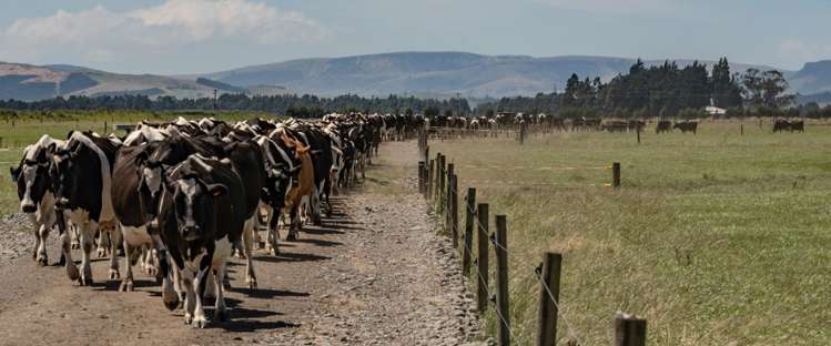 1599 Hundred Line Road East Winton_6