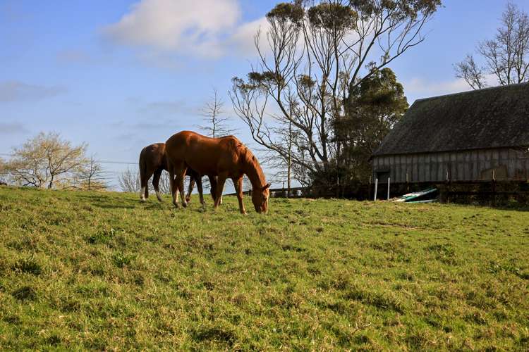 605 Whitford-Maraetai Road Beachlands_5