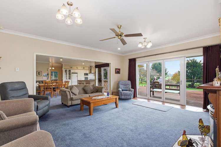 81D Horrell Road Morrinsville_7