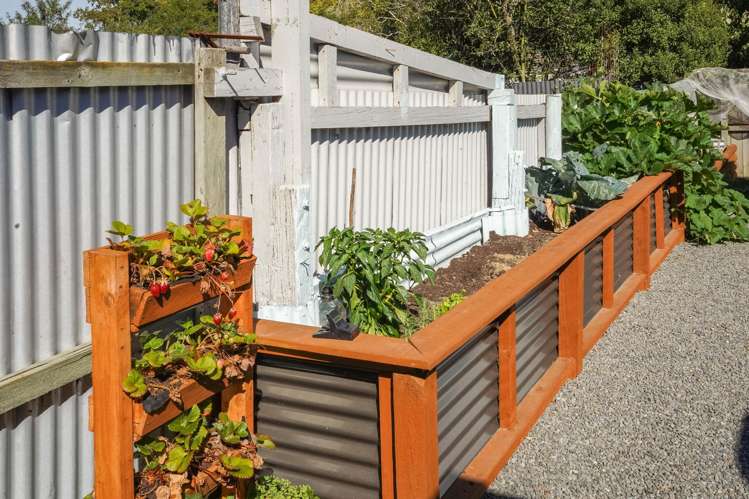 7 Robinson Street Cheviot_21