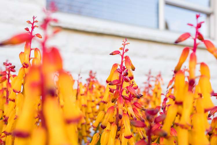 8 Heayns Place Feilding_22