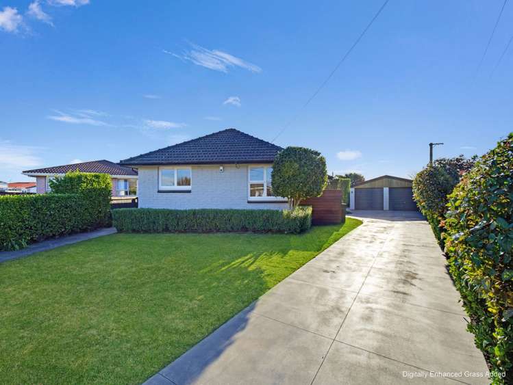6 Wingate Street Redwood_26