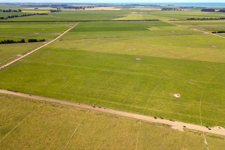 361 Poplar Road Ashburton_19