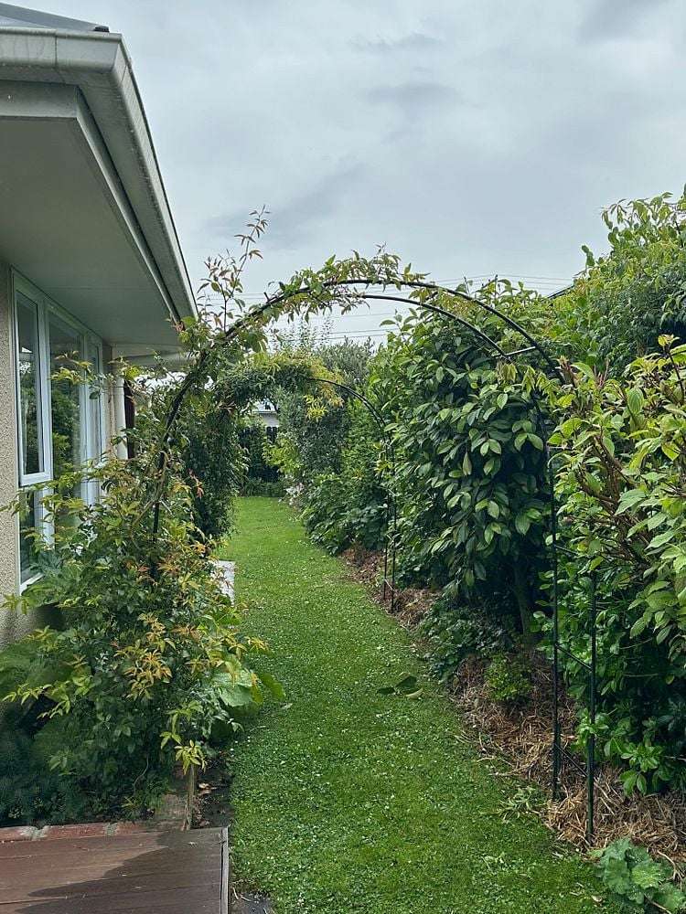 3 Carlyle Road Mosgiel_1