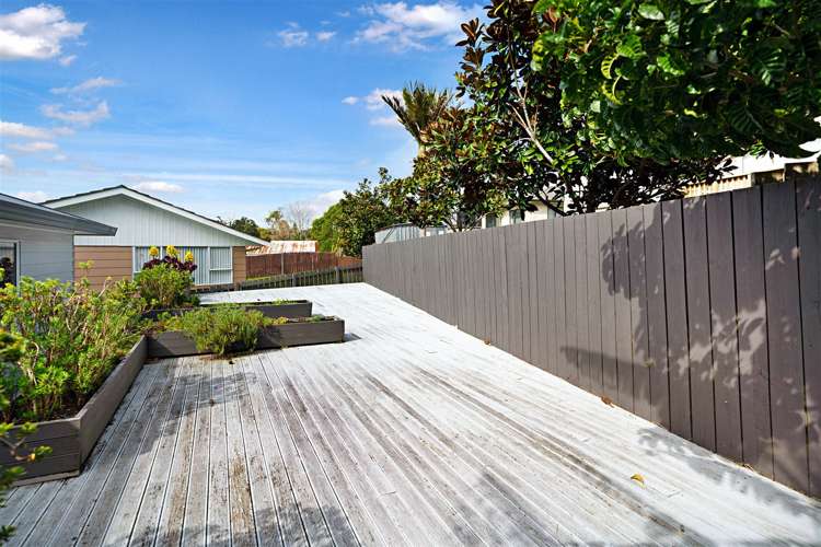 26b Meilland Place Glen Eden_11