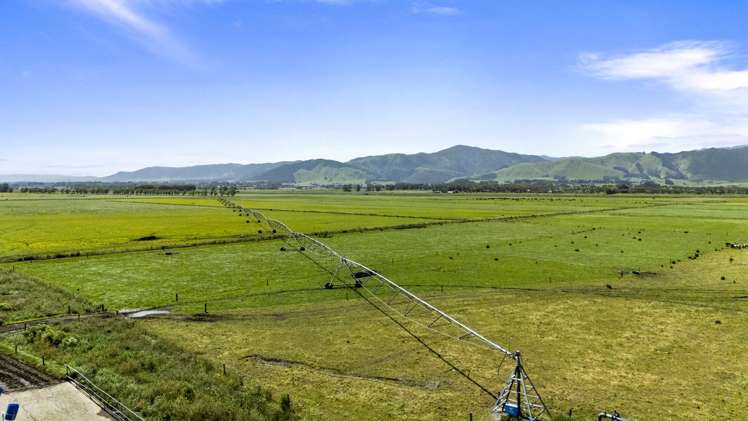 145 Campbells Road Opiki_20