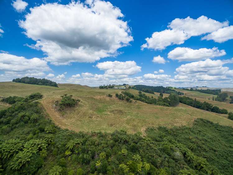 655 Rangitoto Road Te Kuiti_6