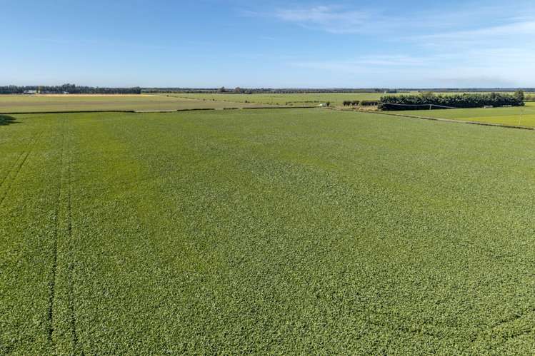 904 Dip Road Methven_13