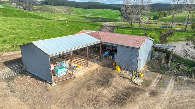 3544 State Highway 2 Mangatarata_12