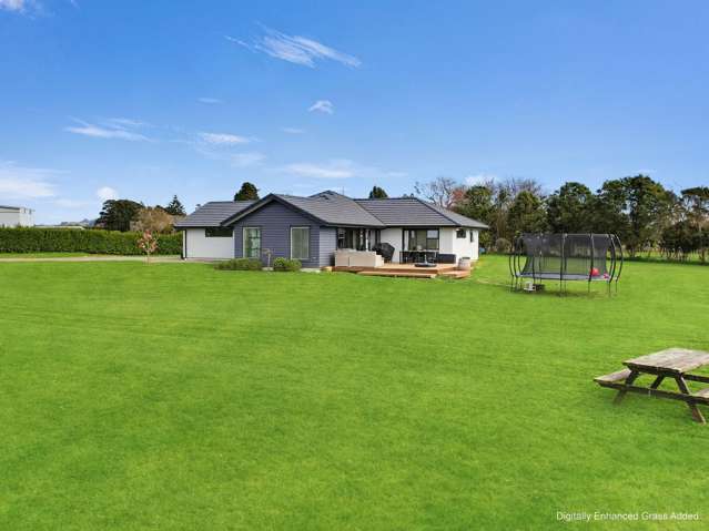 283A Kimberley Road Levin_4