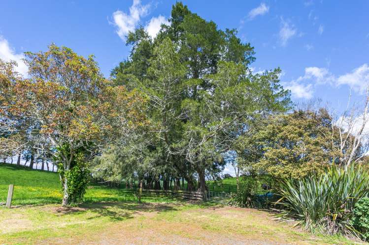 Lot 2-1768 Morrinsville Walton Road Matamata_27