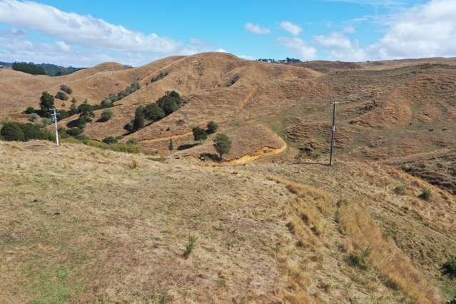 1017 Waingaro Road Glen Massey_1
