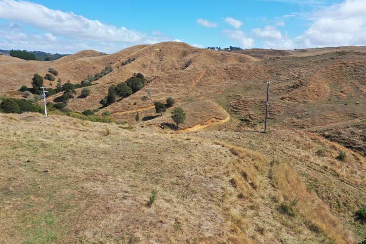 1017 Waingaro Road Glen Massey_1