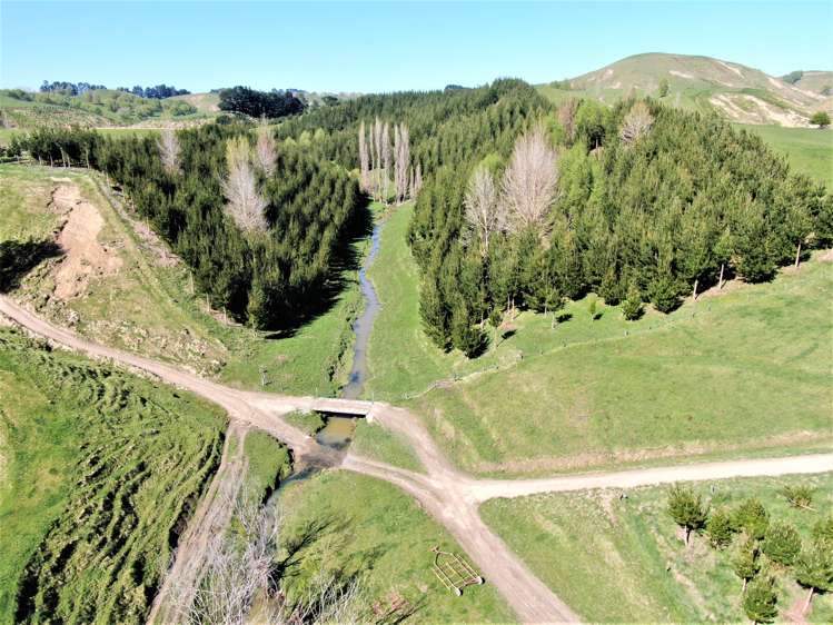 338 Te Awa Road Hawkes Bay_8