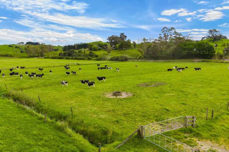 Omana Road Tangiteroria_17