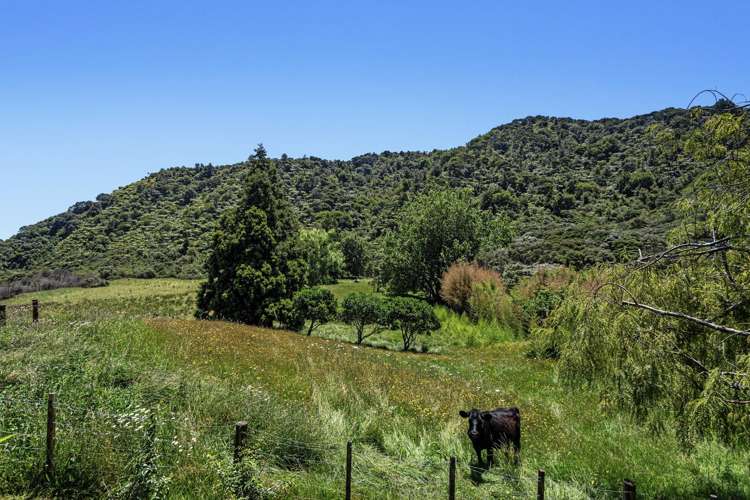 1707 State Highway 35 Torere_21