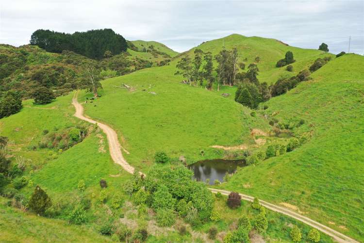 40 Cogswell Road Raglan_32