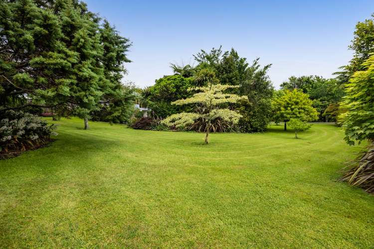 88 Rewa Street Inglewood_41